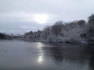 Picturesque Hillsborough Lake in Co Down