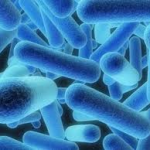Legionnaires bacteria found in Newtownabbey special needs school