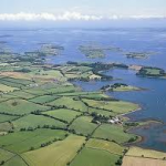 Marine life feeling heat from rise in temperatures in Strangford Lough