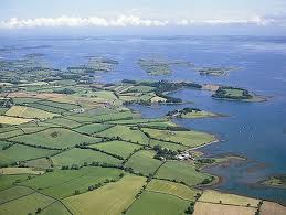 Marine life feeling heat from rise in temperatures in Strangford Lough