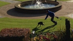 A macaque was dramatically caught last week in the grounds of Belfast Castle