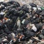 Derry dump