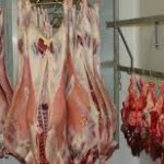 abattoir