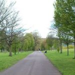 Falls Park 1