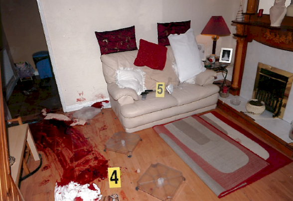 The scene of the punishment shooting gun attack in the living room of the house in Brompton Park, north Belfast