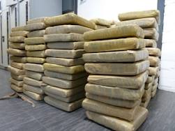 PSNI seize £1 million worth of cannabis in Lisburn