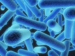 Legionnaires bacteria found in Newtownabbey special needs school