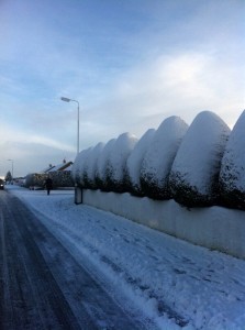 Snow Glengormley 1