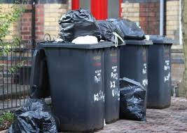 Plans for new waste incinerator to extract black bin rubbish