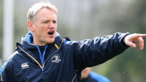 New Ireland head coach Joe Schmidt