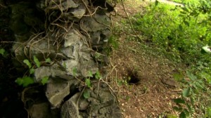 The hole in the ground where 16 UVF hands guns were stashed in east Belfast