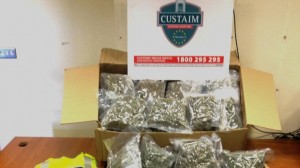 The herbal cannabis drugs haul seized by Customs in the Republic
