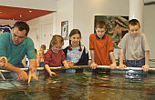 Children at the under threat Exploris Aquarium in Portaferry, Co Down