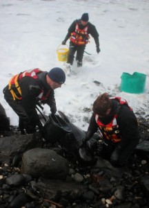 DoE staff tend to the young pilot whale which got stranded at Portballintrae