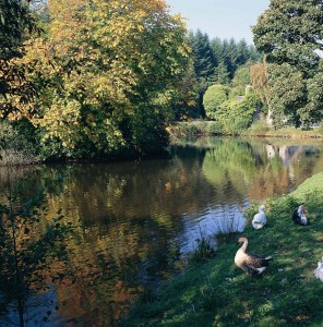 Gosford Forest Park, Markethill.