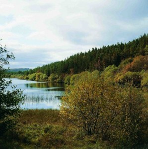 Lough Navar Forest, Co Fermanagh.