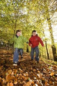 Minnowburn Park belfast