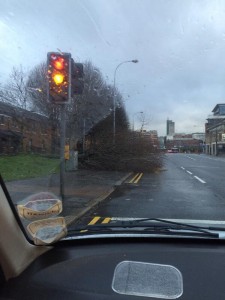 A tree has been felled in the gusting winds at the Markets in south Belfast