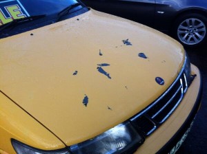 One of the cars damaged with acid at the dealership 