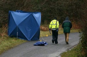 PSNI officers at the scene in Belleek on Sunday following a hit-and-run death. Pic: John McVitty