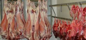 abattoir