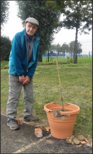 Local charity volunteer Billy Nicholson observes the damage done to the pot and climbing plant which he bought with his pension money. 