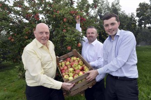  SWEET DEAL: Musgrave Retail Partners (MRPNI) is joining forces with Co. Armagh company P McCann and Sons to supply consumers with Northern Ireland produced apples and pears. PIC: STEPHEN HAMILTON/PRESSEYE