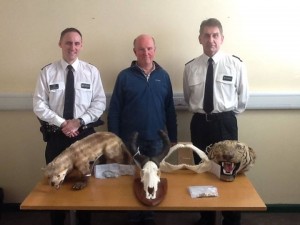 Police put on display parts of endangered species seized today