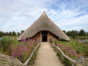 Simp, ly Science at Castle Espie, Co Down