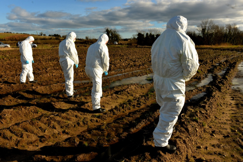 CSI teams searching land on the Newtownards Road in Comber for remains of murdered Lisa Dorrian