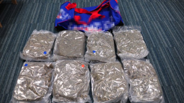 £500,000 HERBAL CANNABIS 1