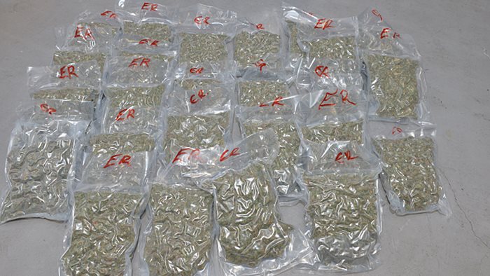 The 300,000 herbal cannabis haul seized by police in Newtownabbey
