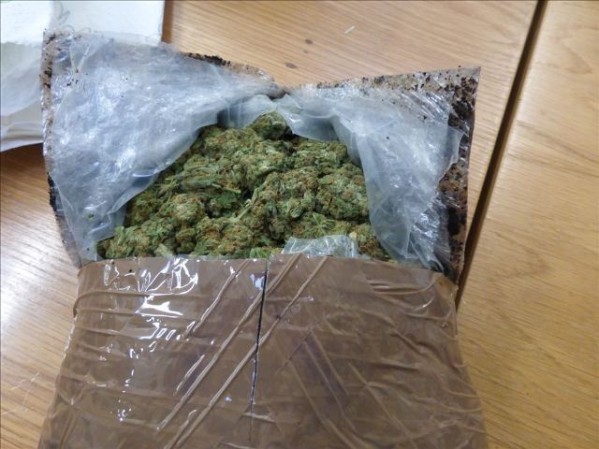 The cannabis seized by police in north Belfast in March