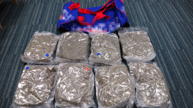 The £520,000 herbal cannabis haul seized by police last night on the M2 city bound