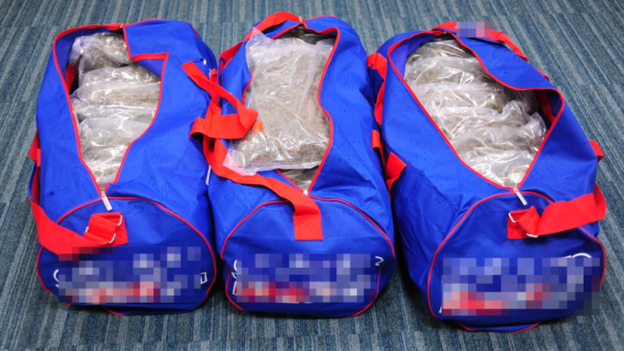The half a million pound herbal cannabis haul was concealed inside holdalls 