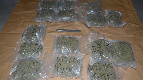 Police put on display some of the £300,000 worth of cannabis seized today