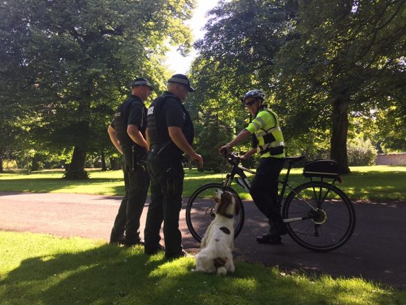 Cycle patrol cops and PSNI dogs unit in Ormeau Park today to nab a couple of drug dealers