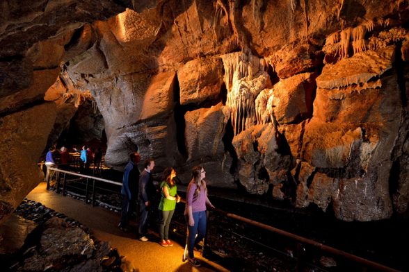 Two tour groups admiring the Frozen Waterfall with Spelegonzalez, Marble Arch Cave