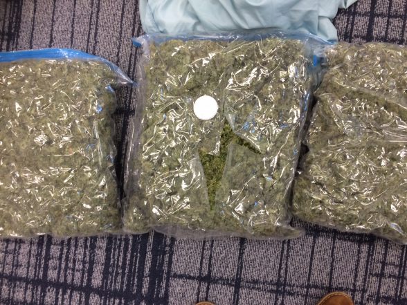 £70,000 worth of herbal cannabis intercepted in the post by PSNI detectives